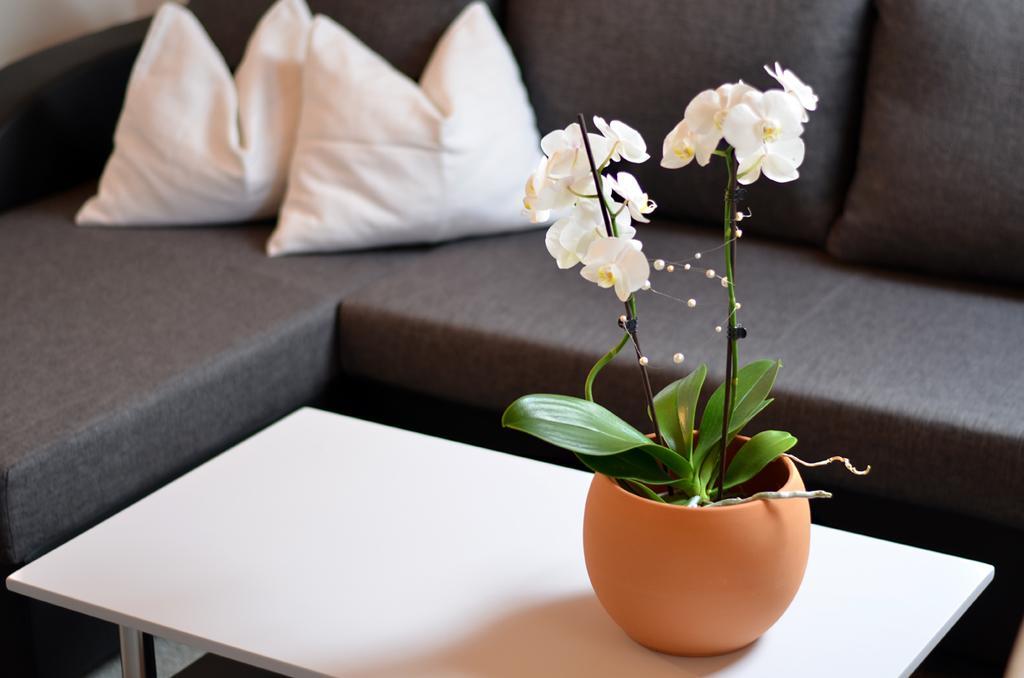 Appartements Mantinger Mauterndorf  Exteriér fotografie